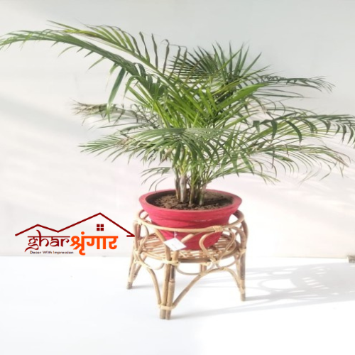 Rattan Planter Stands